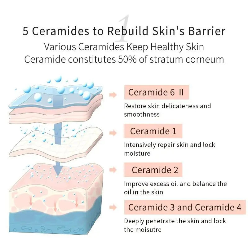 Ceramide Complex T5 Protects Skin Locks in Moisture Enhance Skin Lipid Suitable for Dry Skin Aging Skin and Sensitive Skin